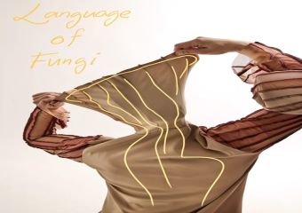 Language of Fungi
